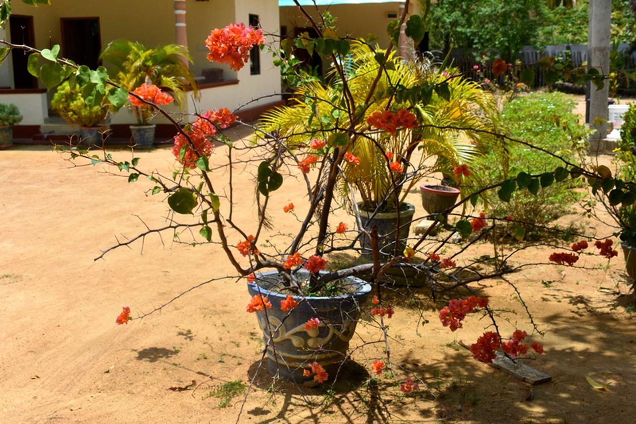 Yaswi Guest House Passikudah Exteriér fotografie